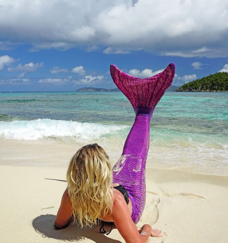 Mermaid Swim VI-克鲁兹湾必去景点