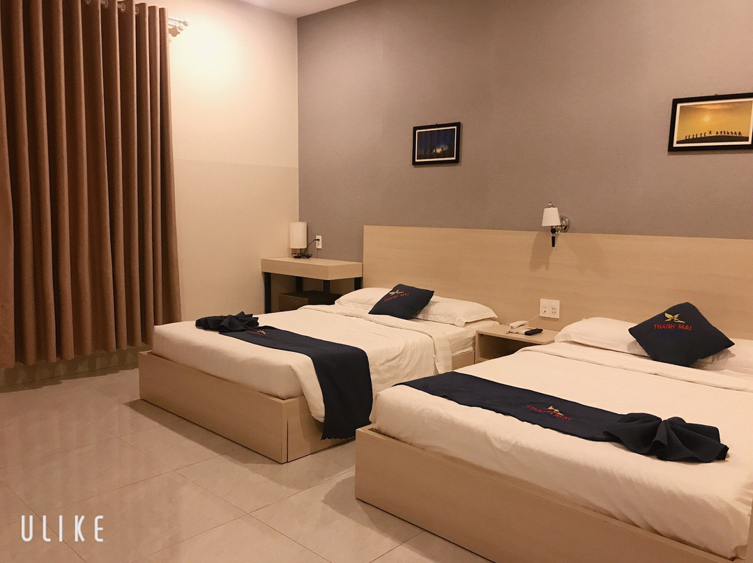 Thanh Mai Hotel主图