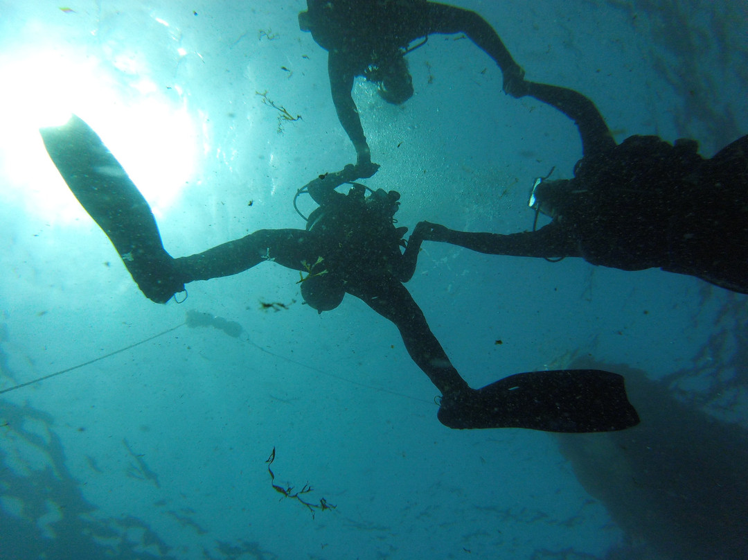 Top Diving Gran Canaria-波多黎各必去景点