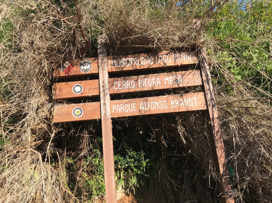 Piedra Mesa Viewpoint-Lago Ranco必去景点