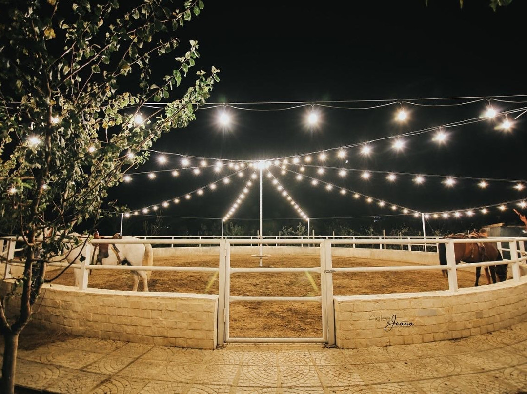 Vinea Resort & Spa主图