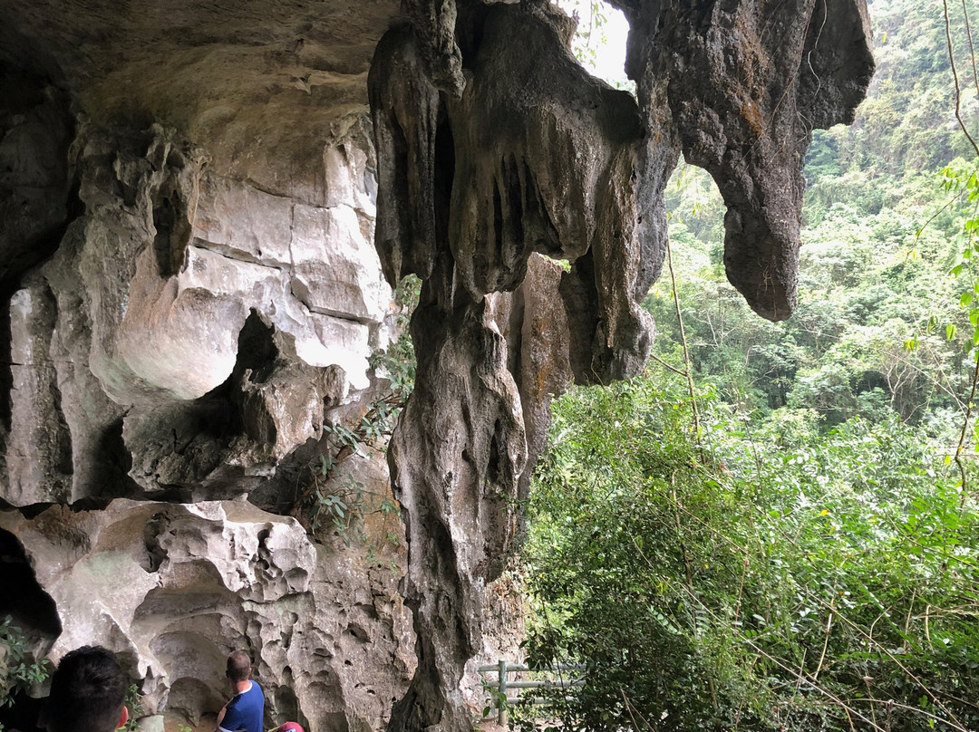Halong Bay Cruises景点图片