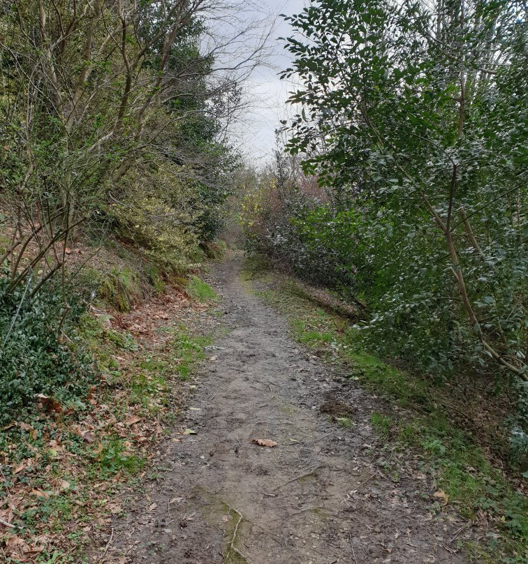 Parque Natural de Pagoeta景点图片