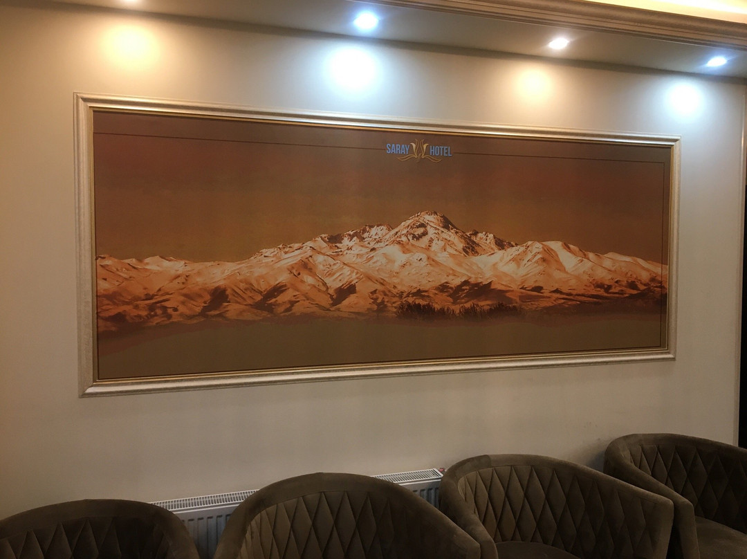 Saray Hotel主图