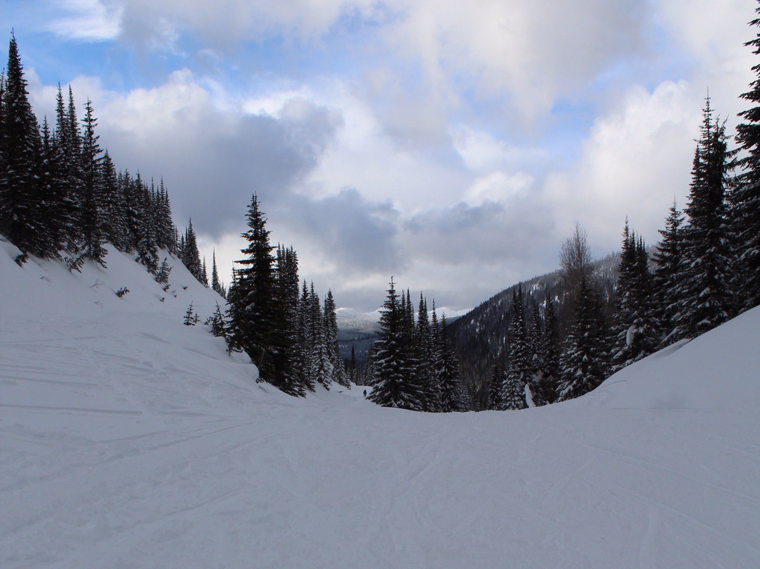 Swan Mountain Snowmobiling景点图片