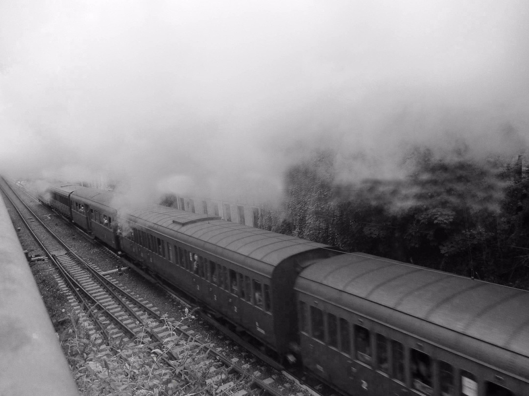 Museo Ferroviario di Suno景点图片