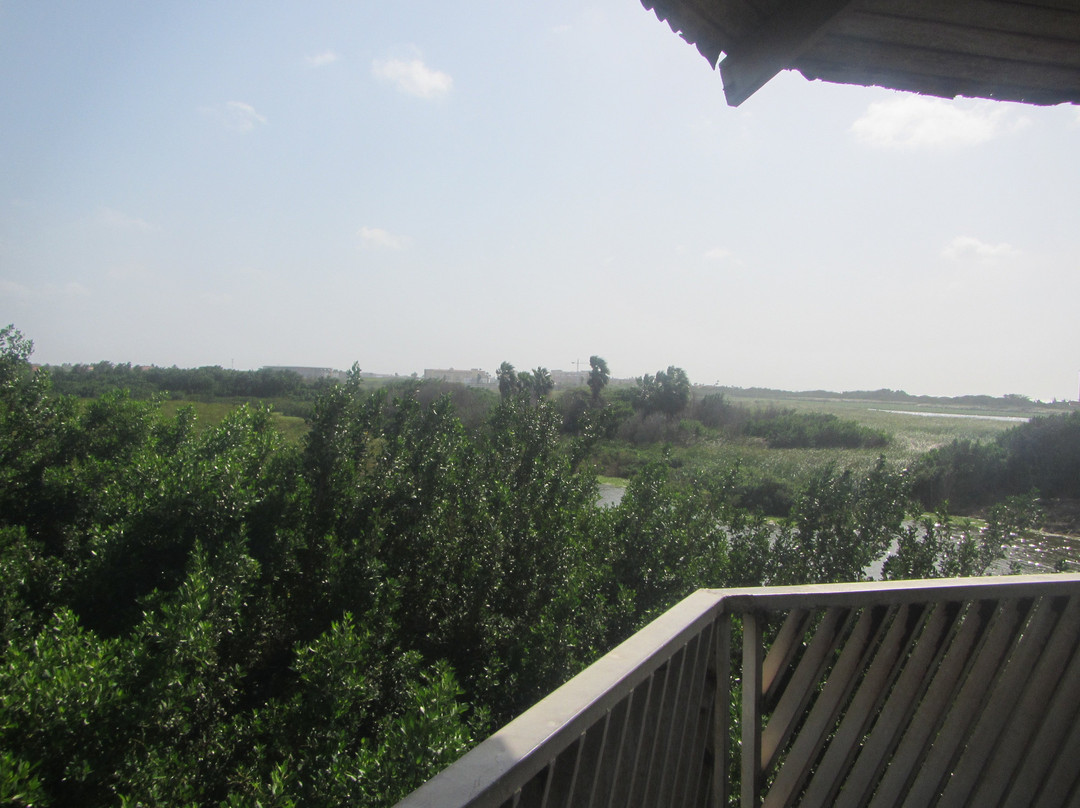 Bubali Bird Sanctuary-棕榈/鹰海滩必去景点