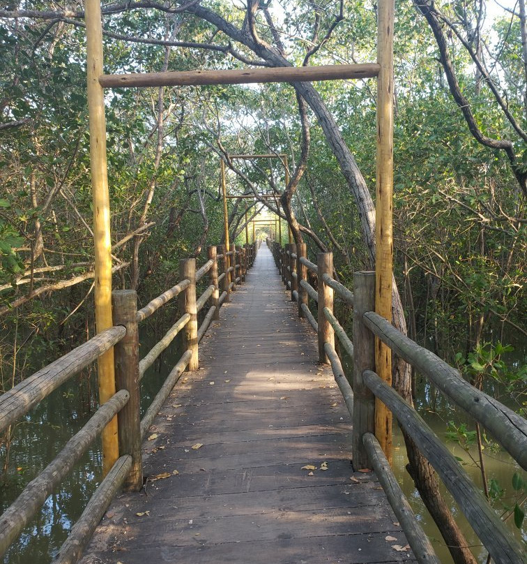 Gigica Ecological Walkway景点图片