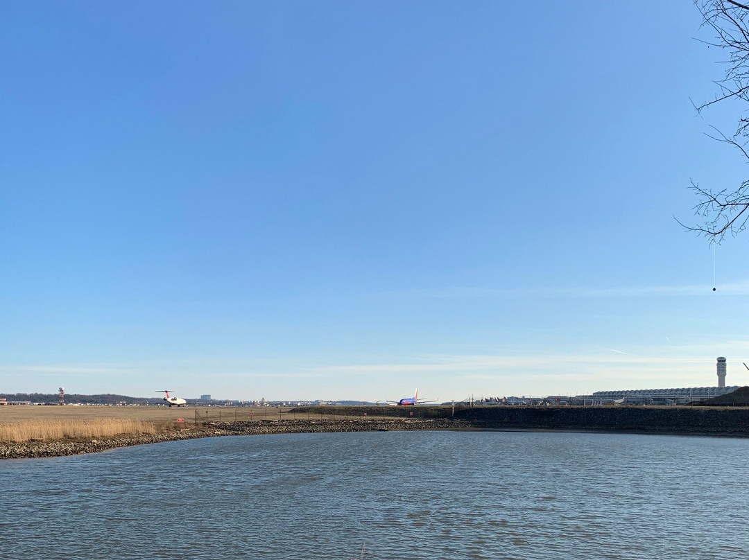 Gravelly Point Park-阿灵顿必去景点