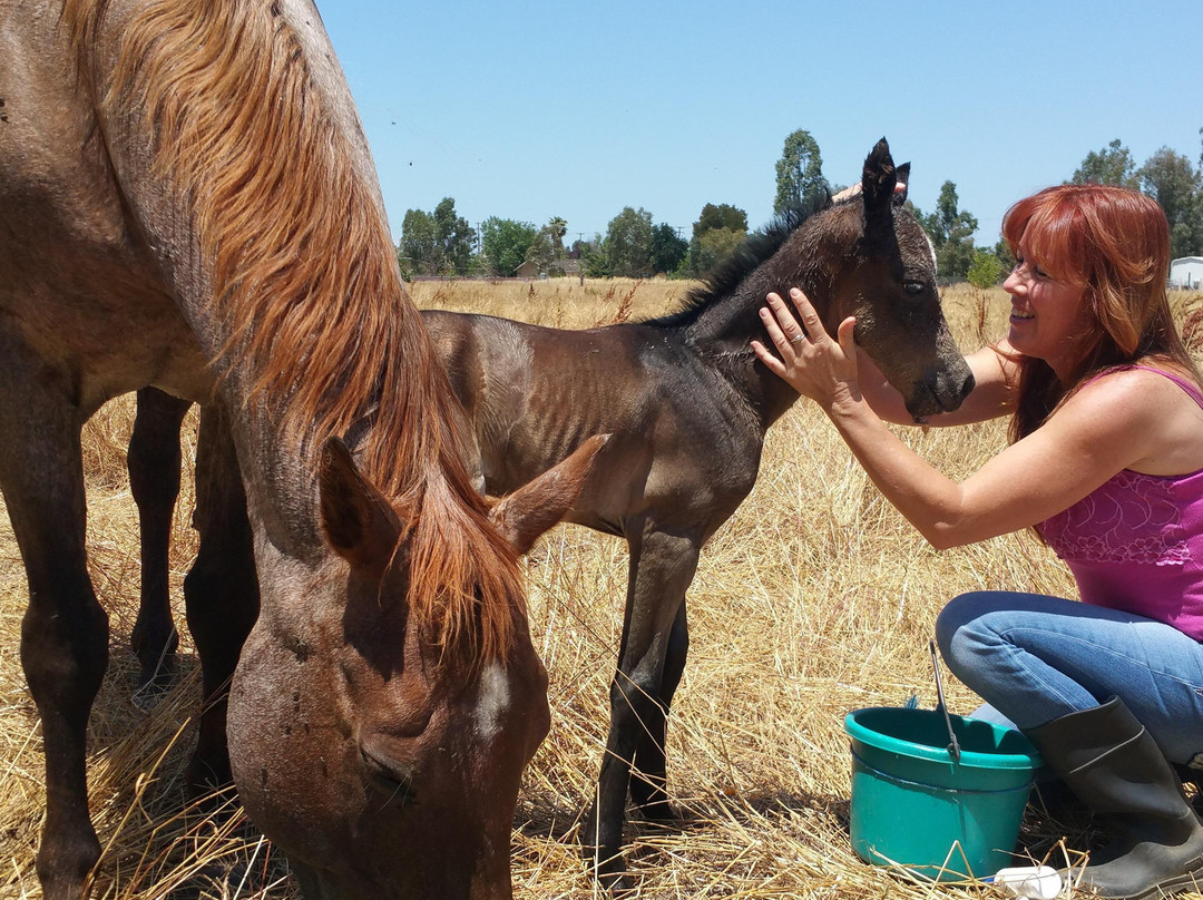Gina Hery-Gardnerville必去景点