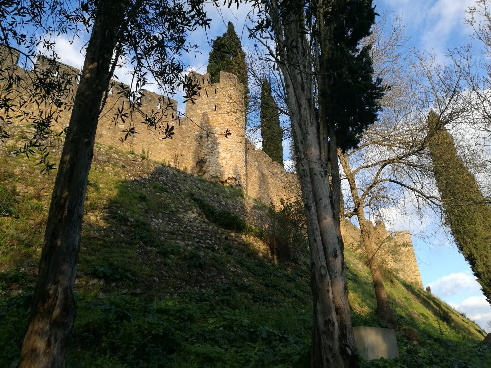 Mata Nacional dos Sete Montes景点图片