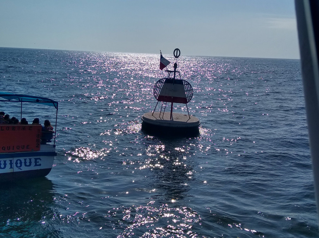 Boya Esmeralda de Iquique-伊基克必去景点