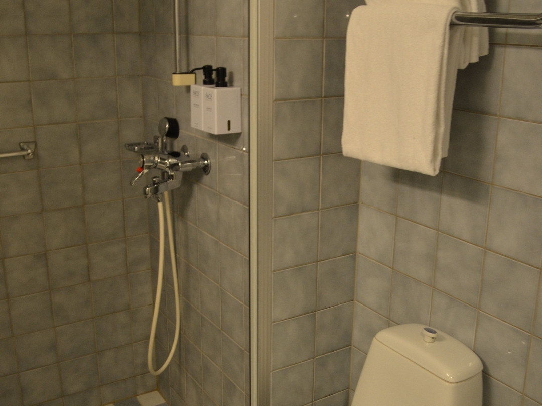 GreenStar Hotel Lahti主图