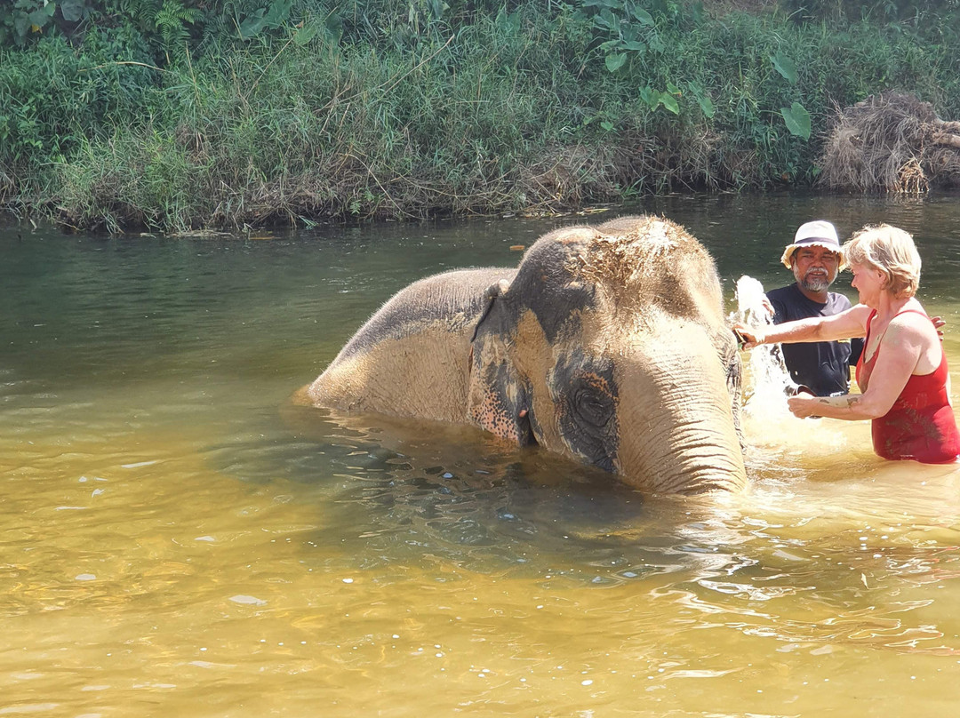Mona Tours Khao Lak景点图片
