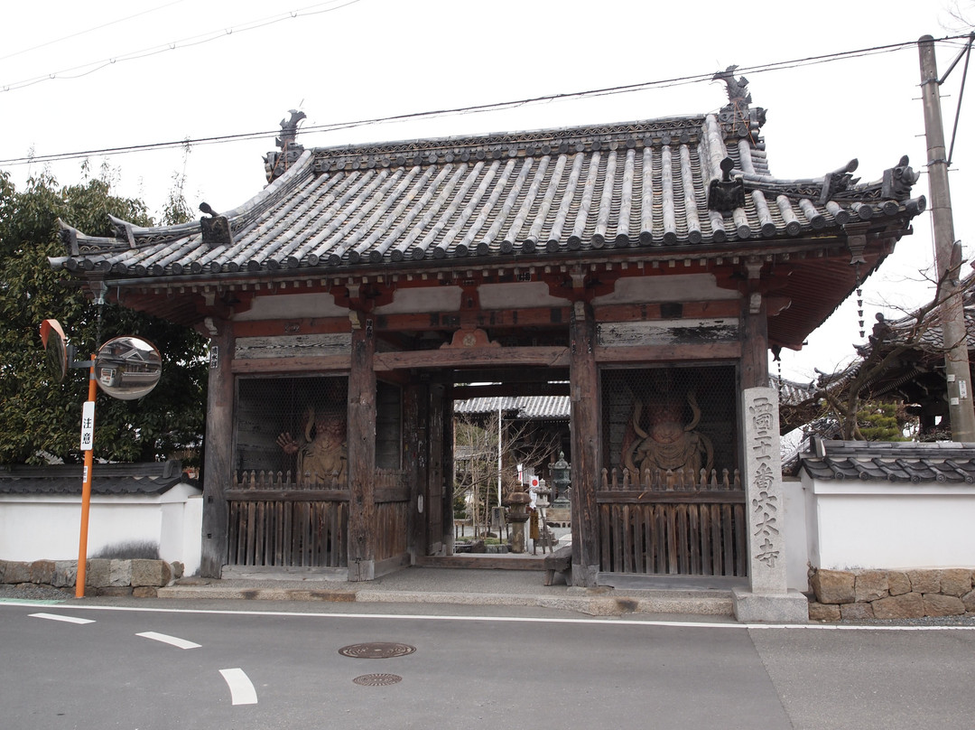 Anao-ji Temple-龟冈市必去景点