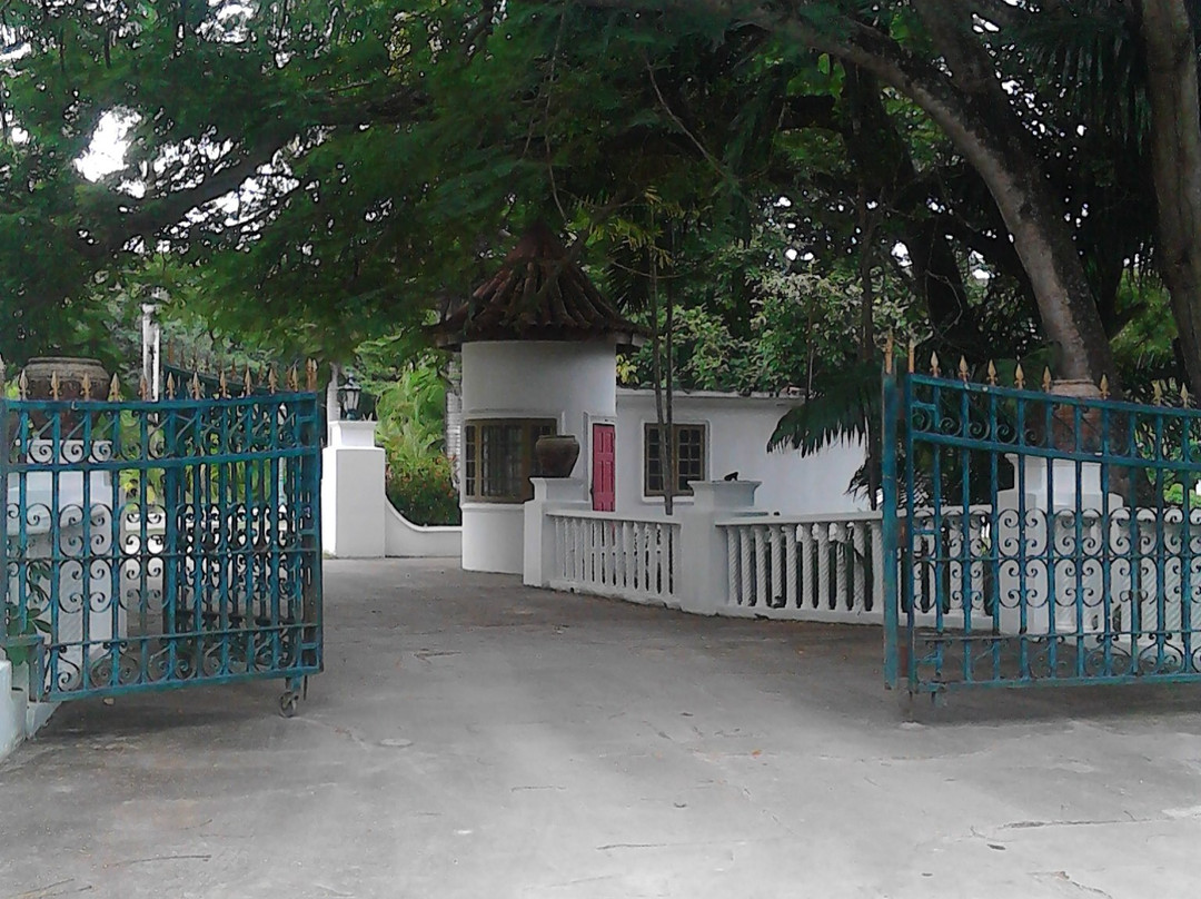 Sea Shell Palms主图