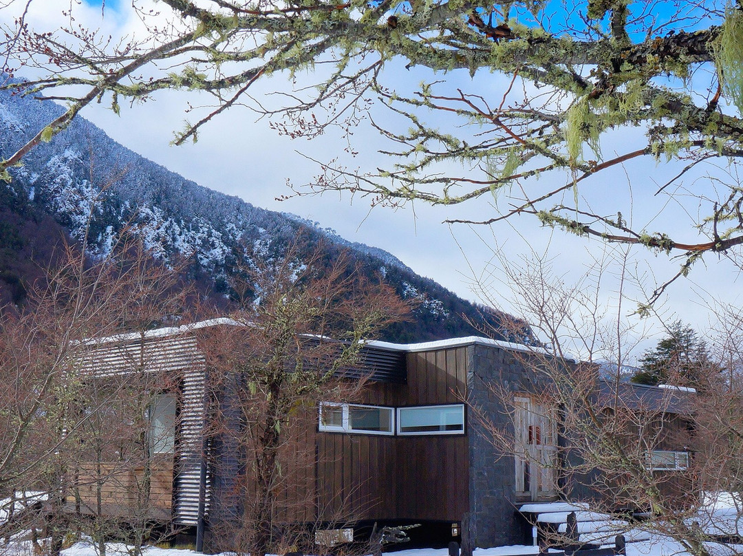 Malalcahuello酒店住宿-Endemiko