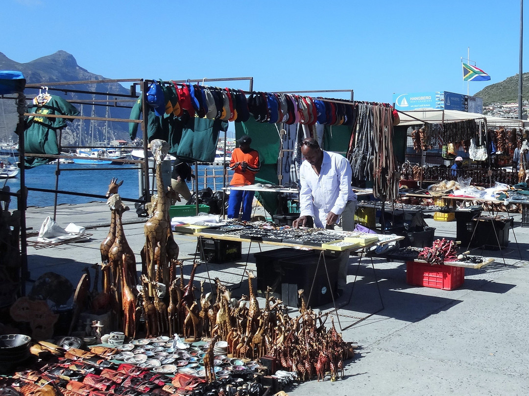 Seal Island-西开普必去景点