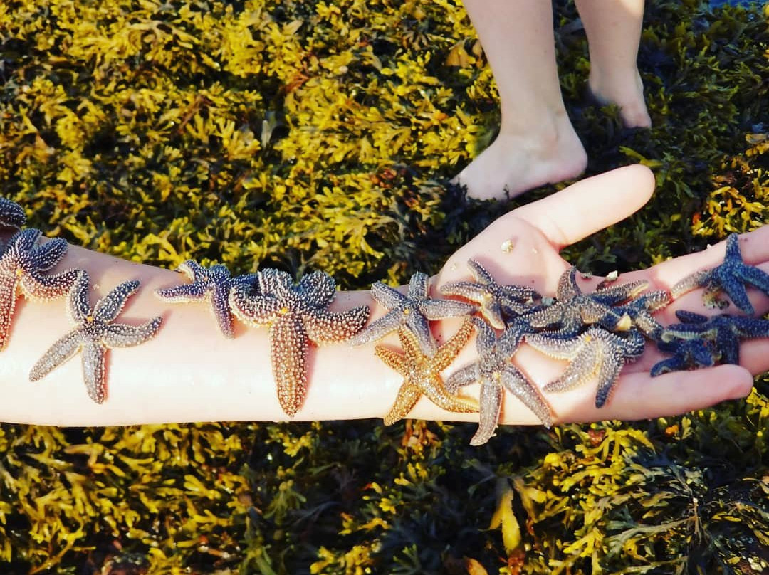 Tidnish Dock Provincial Park-Tidnish必去景点