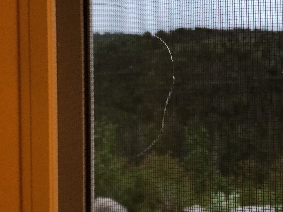 The Wilds at Salmonier River Hotel Rooms & Suites主图