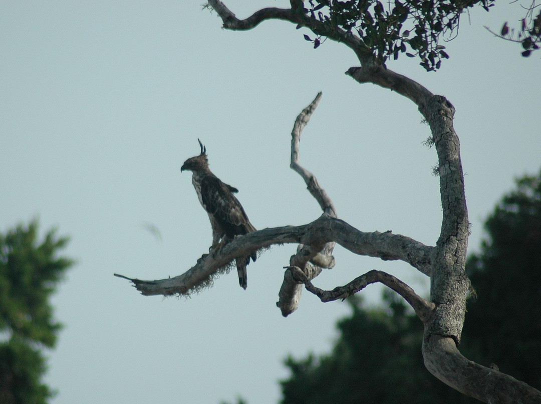 Pleasant Lanka Tours-Kandana必去景点