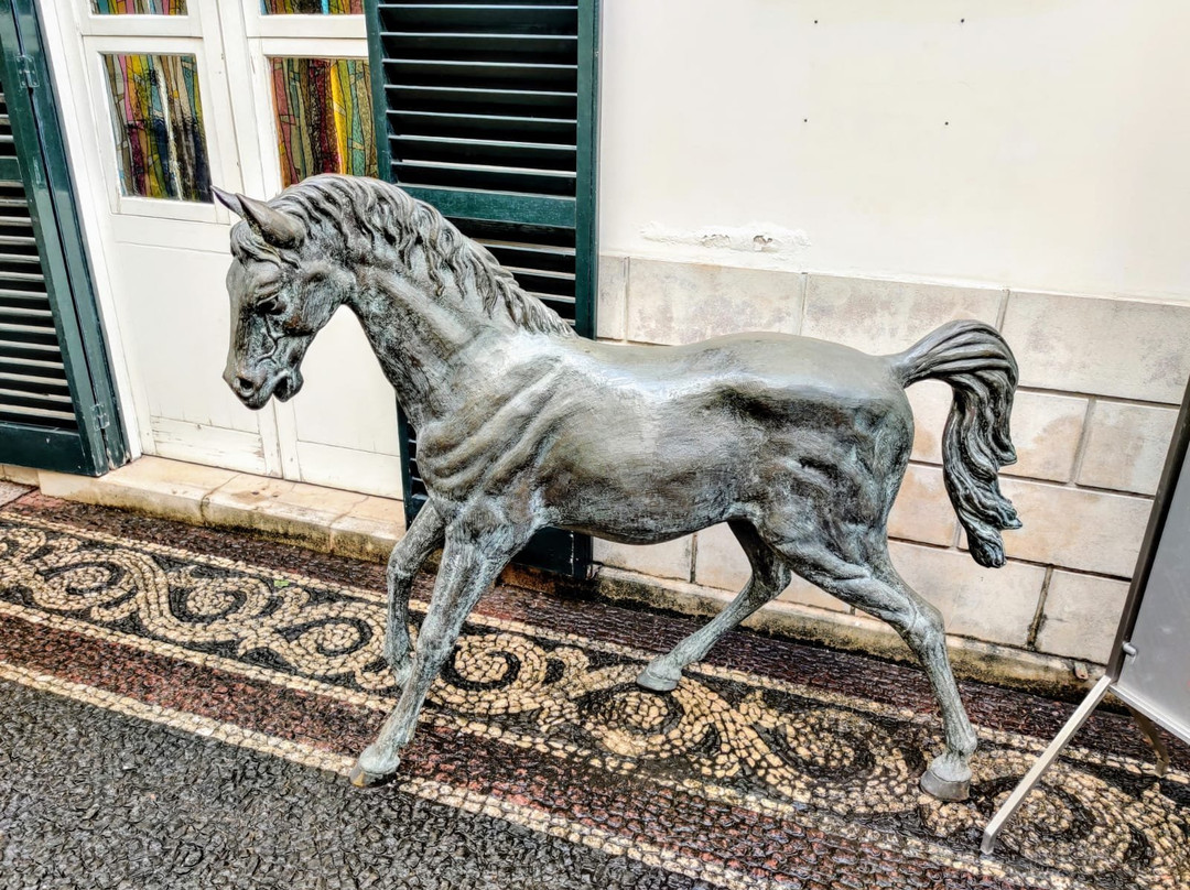 Universo de Memórias João Carlos Abreu-沙尔必去景点