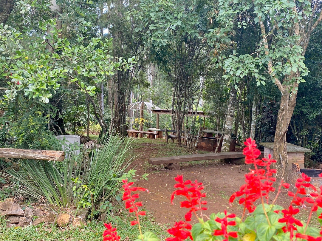 Sitio Cascata da Borussia景点图片