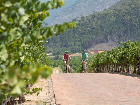 E-lectric Ventures-开普敦必去景点