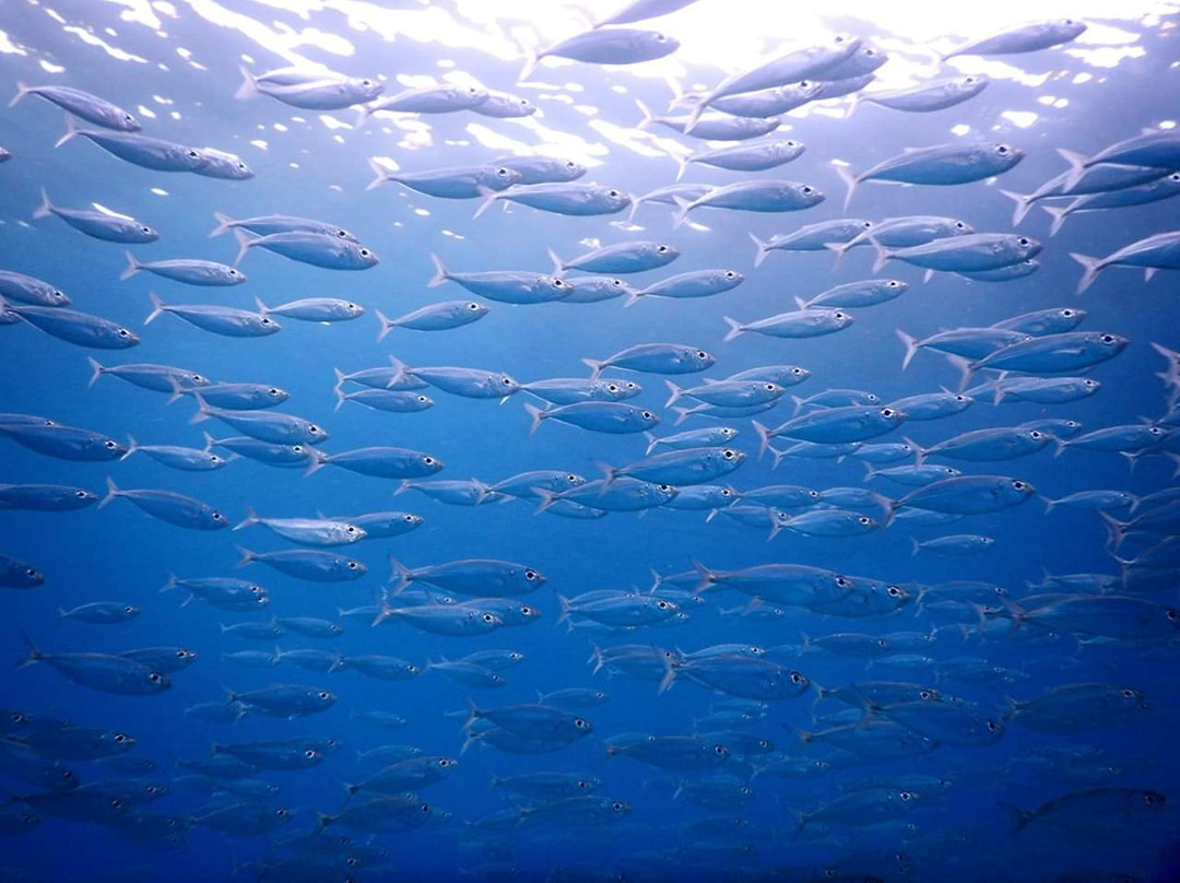 EyesCaraibes-瓜德罗普岛必去景点