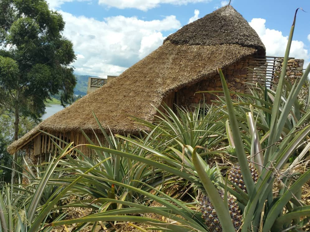 Bunyonyi Apple Farm Stay主图