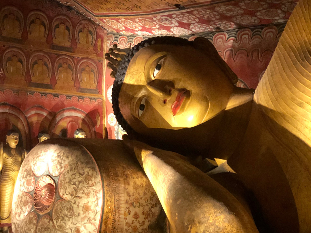 Aliyah Tours景点图片