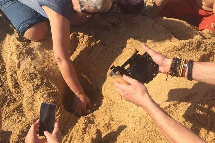 Naucrates-阁普拉通岛必去景点