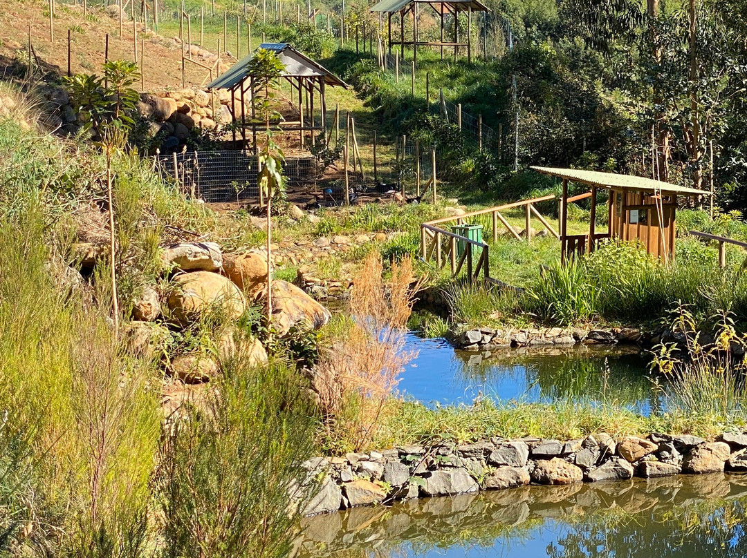 Parque Ribeira Primeira-Santo da Serra必去景点