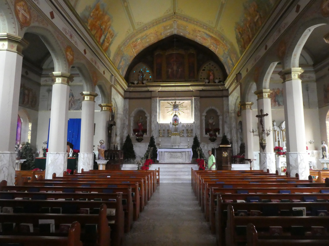 Saints Peter & Paul Cathedral-圣 托马斯必去景点