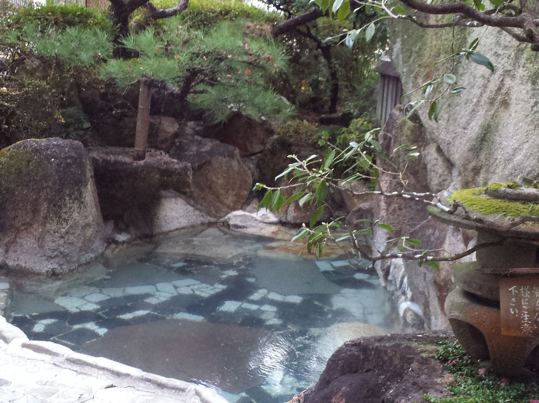 Ryokan Adumaya主图