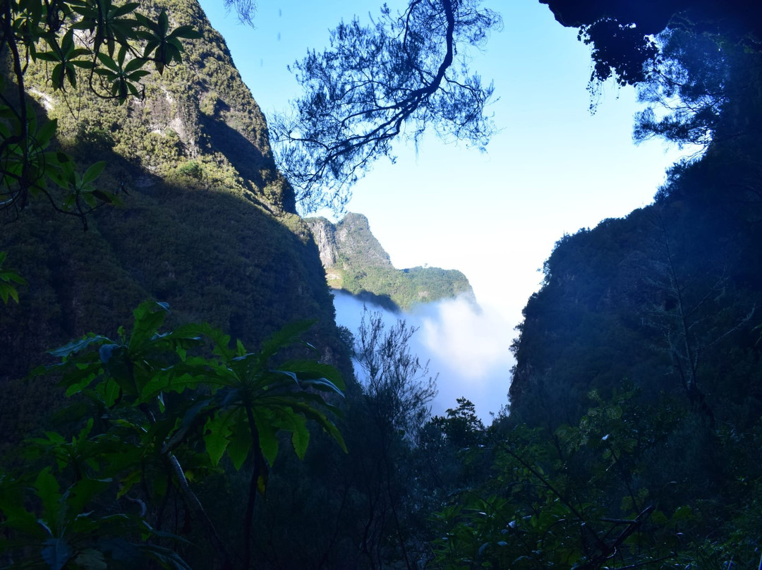 Parque Florestal das Queimadas-Santana必去景点