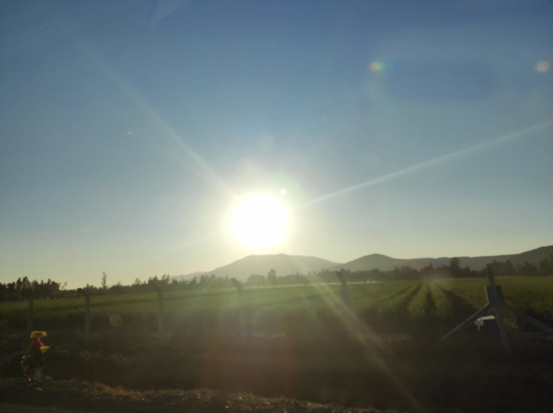 Mapuyampay Lodge Gastronomico主图