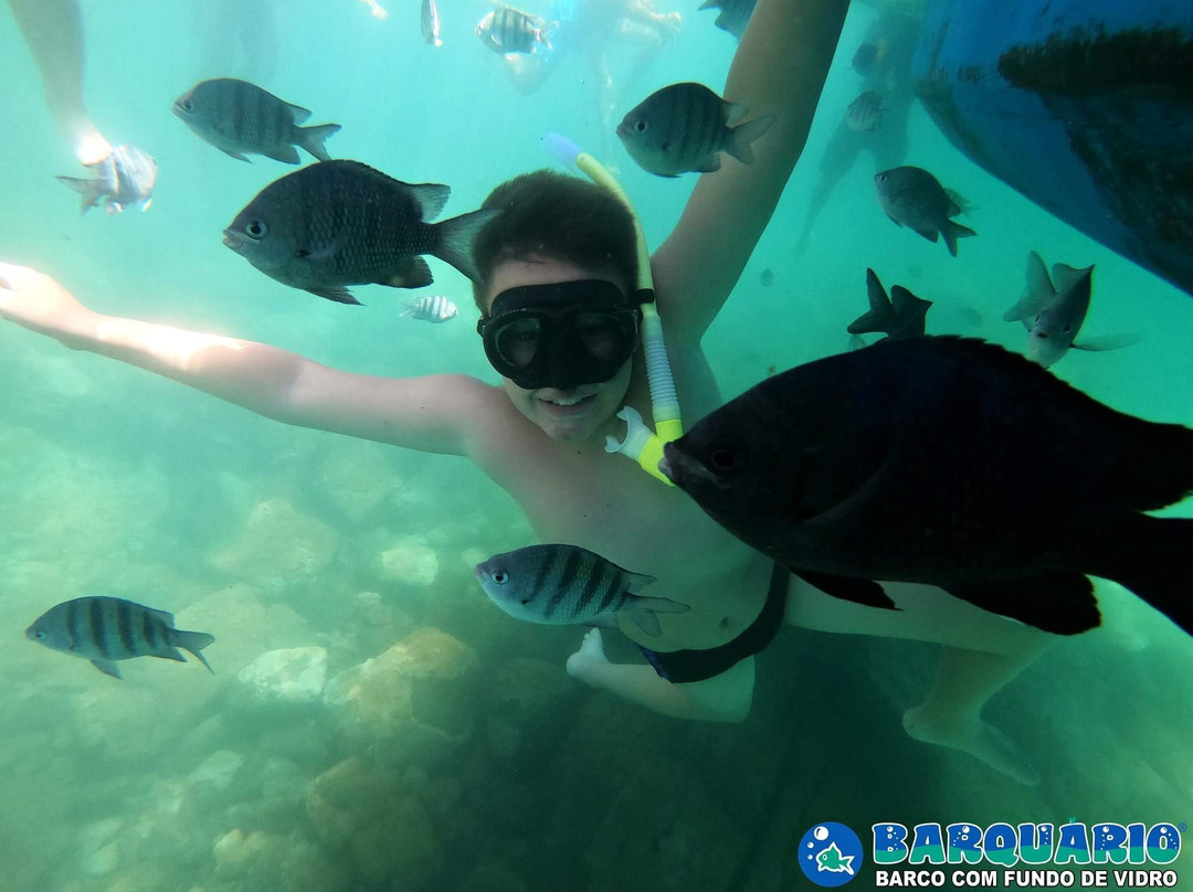 Barquario-乌巴图巴必去景点