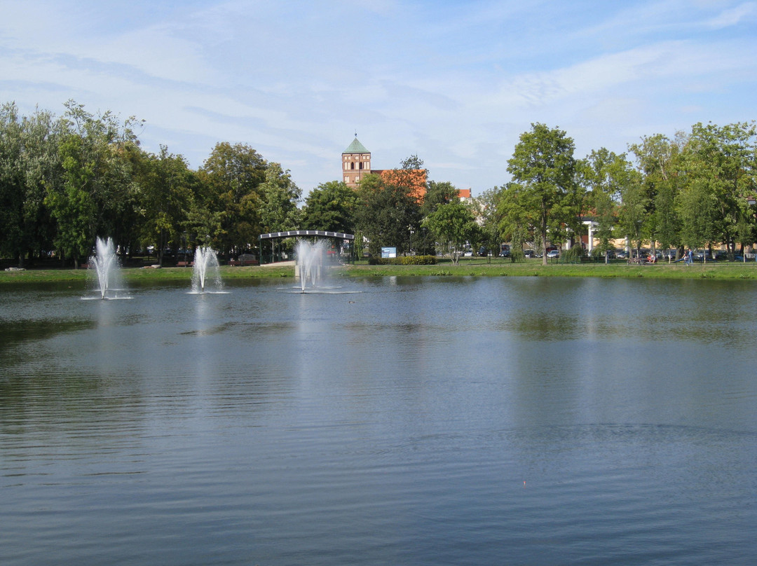 Park Tysiaclecia景点图片