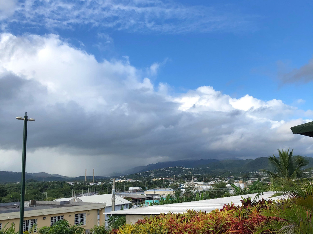 My Puerto Rico Tours-Caguas必去景点