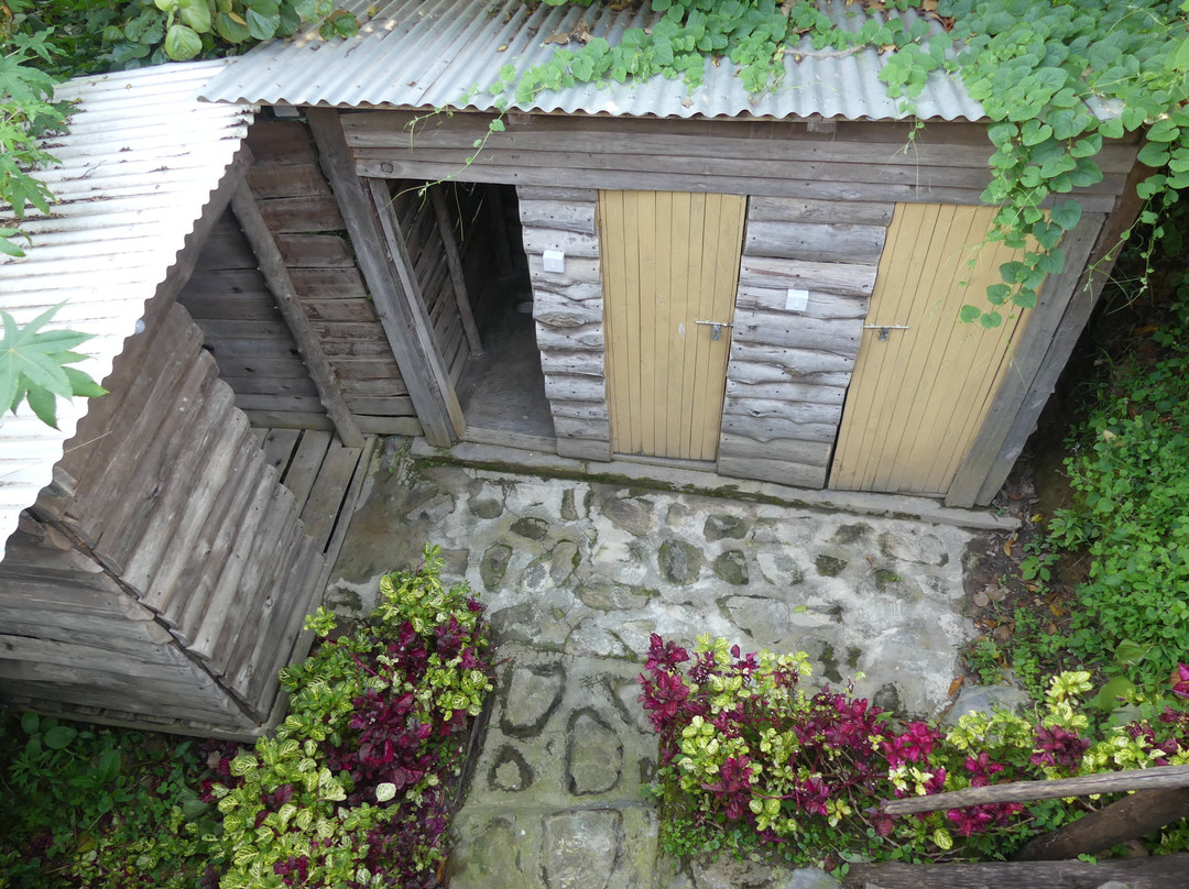 Paradise Eco-hub主图