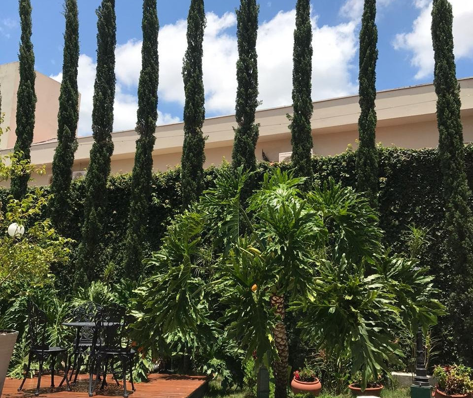 Hotel Colonial Plaza主图