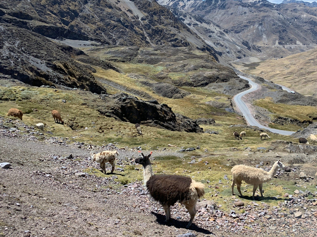Lares Trek-圣谷必去景点