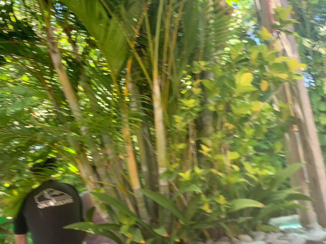 Halls Head Beach-曼杜拉必去景点