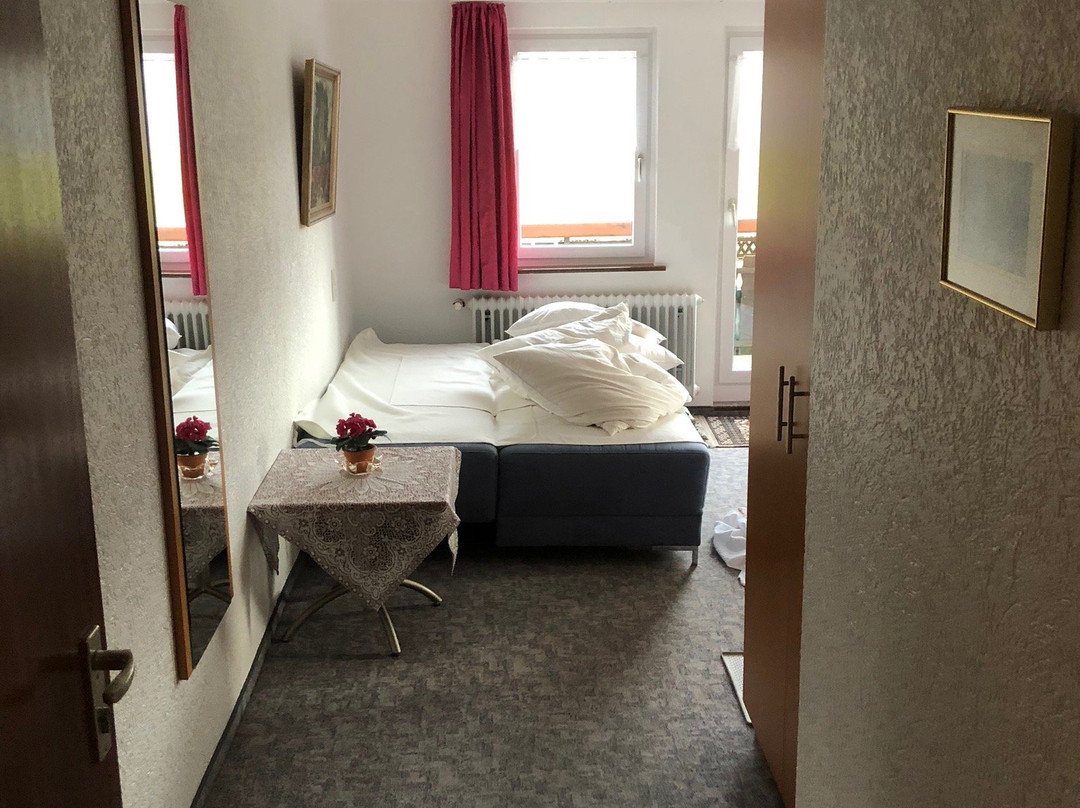 Gasthaus Pension Donishausle主图