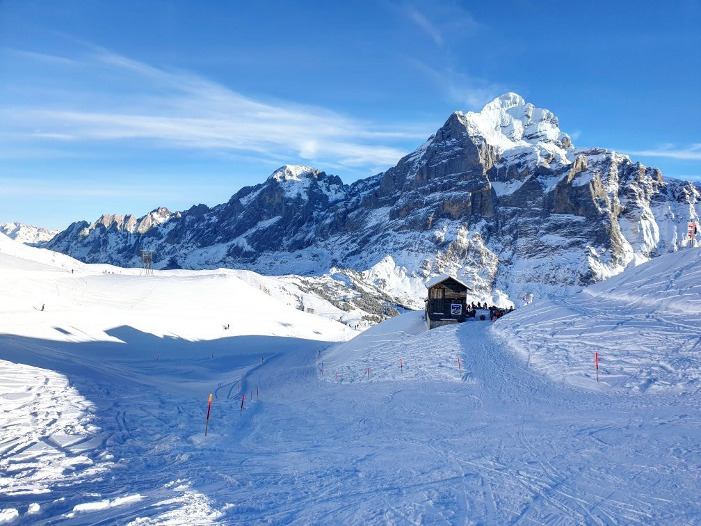 OUTDOOR - Mountaineering School Grindelwald-格林德瓦必去景点