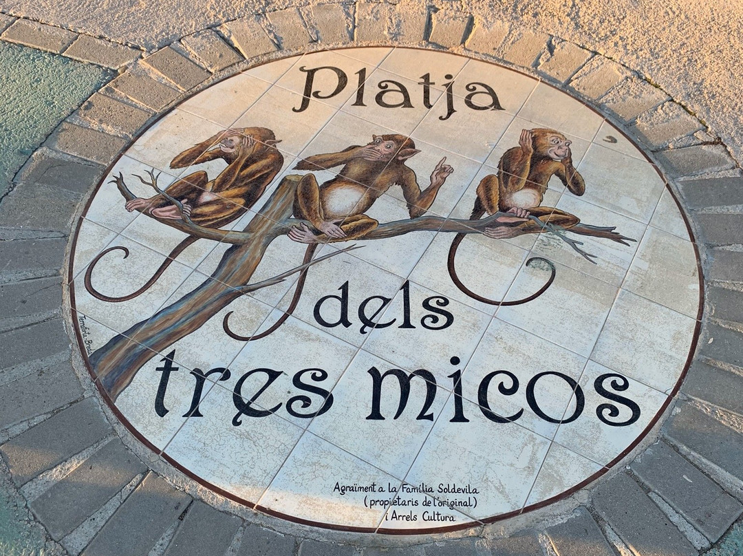 Platja dels Tres Micos-Caldes d'Estrac必去景点