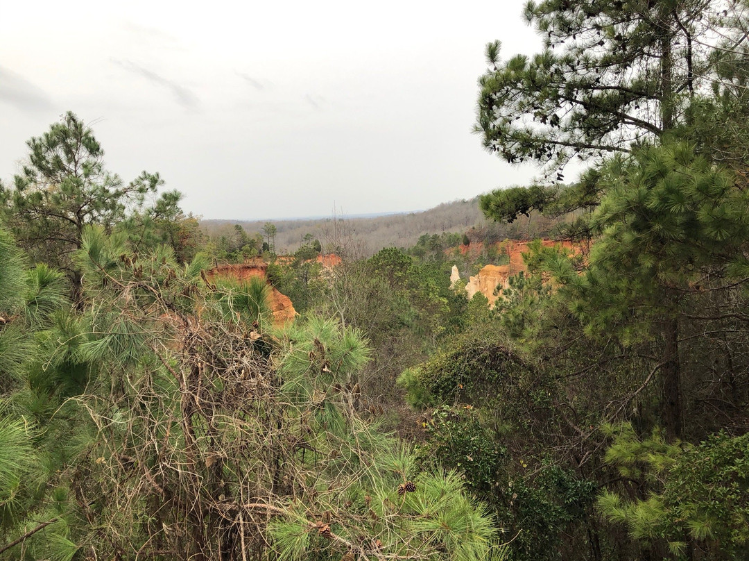 Florence Marina State Park-Omaha必去景点