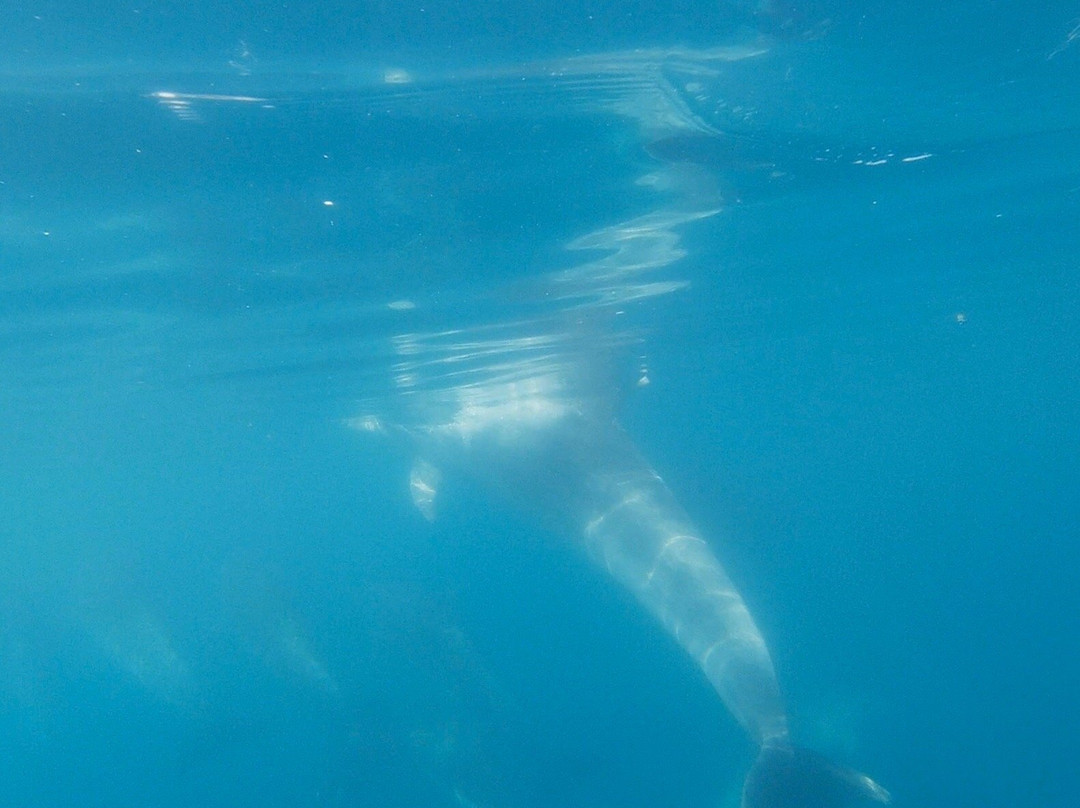 科科莫公寓主图