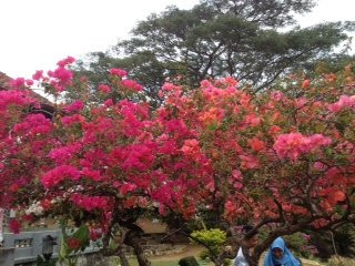 Museum of the Linggarjati Negotiations-Linggajati必去景点